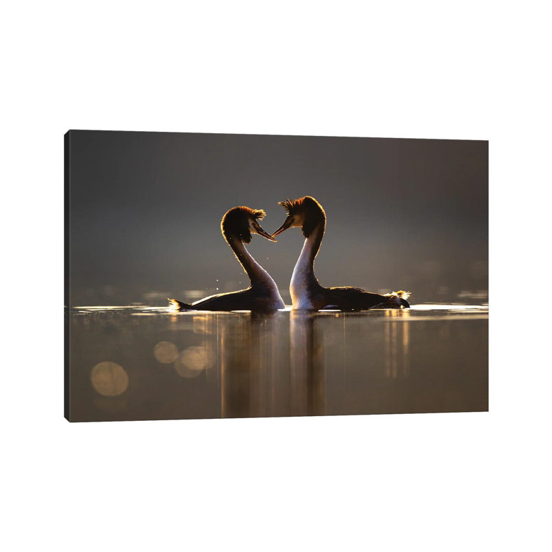 Love by Mateusz Piesiak - Wrapped Canvas Print