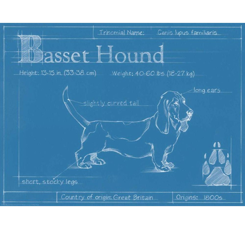 «17 Stories Harper, Ethan», art sur toile tendue avec châssis: Basset hound, H 15 po x l 18 po