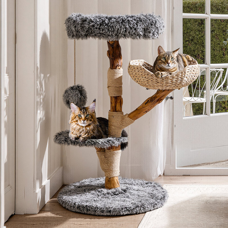 Arbre à chat en bois massif avec boule et panier, Gris
