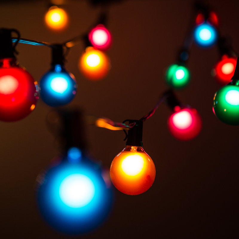 Outdoor 100 - Bulb 100'' Plug-in Globe String Light, Black