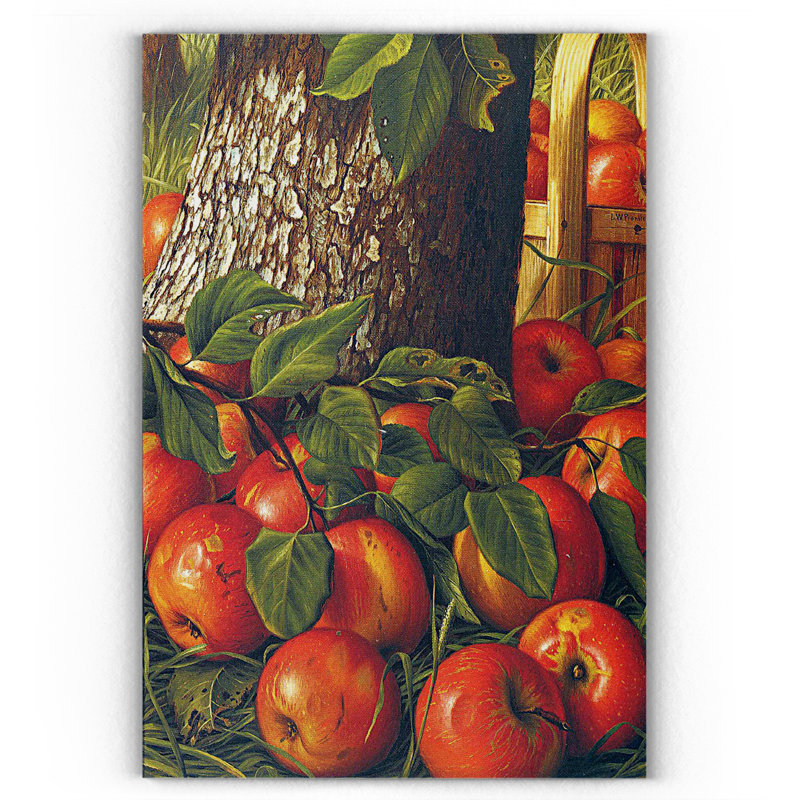 « apples sous un arbre prentice », reproduction de photo sur toile, H 18 po x l 27 po x P 1,5 po