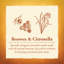Bougie fantaisie la citronnelle designer