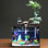 Aquarium en verre