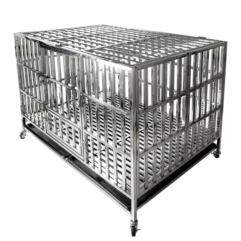 Cage pour chien en acier inoxydable Fasano, H 31 po x l 48 po x P 31 po