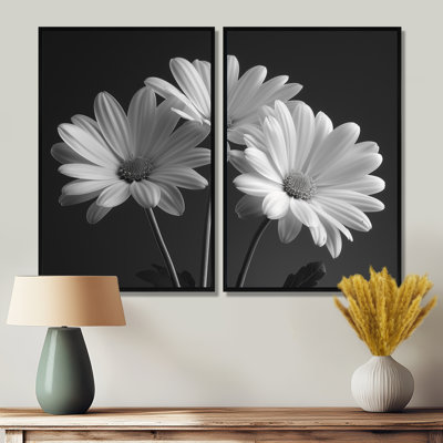 Monochrome Black And White Bliss Daisy Photo IV - White Traditional Wall Decor 2 Pieces