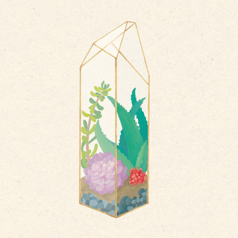 Succulent Terrarium I by Wild Apple Portfolio - Wrapped Canvas Painting, 122cm H x 122cm W x 3.8cm D