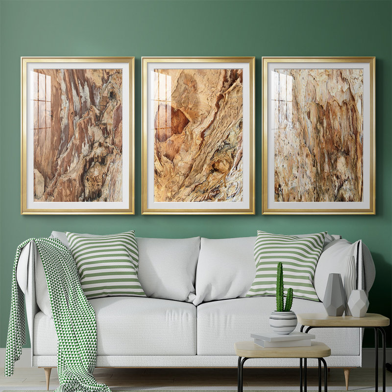 «Tree Texture Triptych I», reproduction encadrée de qualité supérieure - prête à être accrochée, Cadre doré