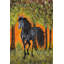 France Gilbert - Wrapped Canvas Painting-20708858