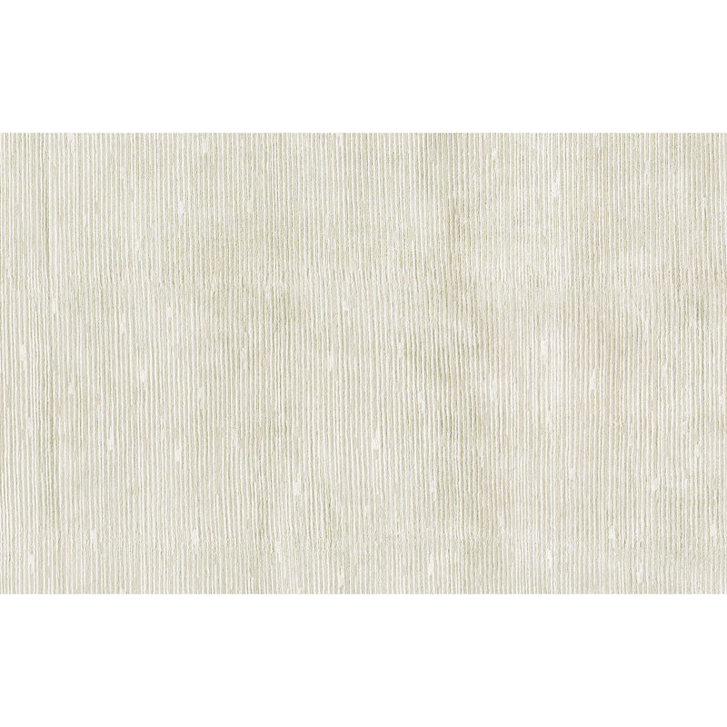 Area Rug in Ivory/White, Rectangle 3' x 5'