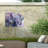 Canvas Animals Wall Decor-98043625