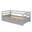 Daybed With Trundle Frame-234697602