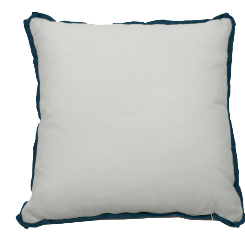 Manado Indoor/Outdoor Throw Pillow, Peacock, 20" x 20"