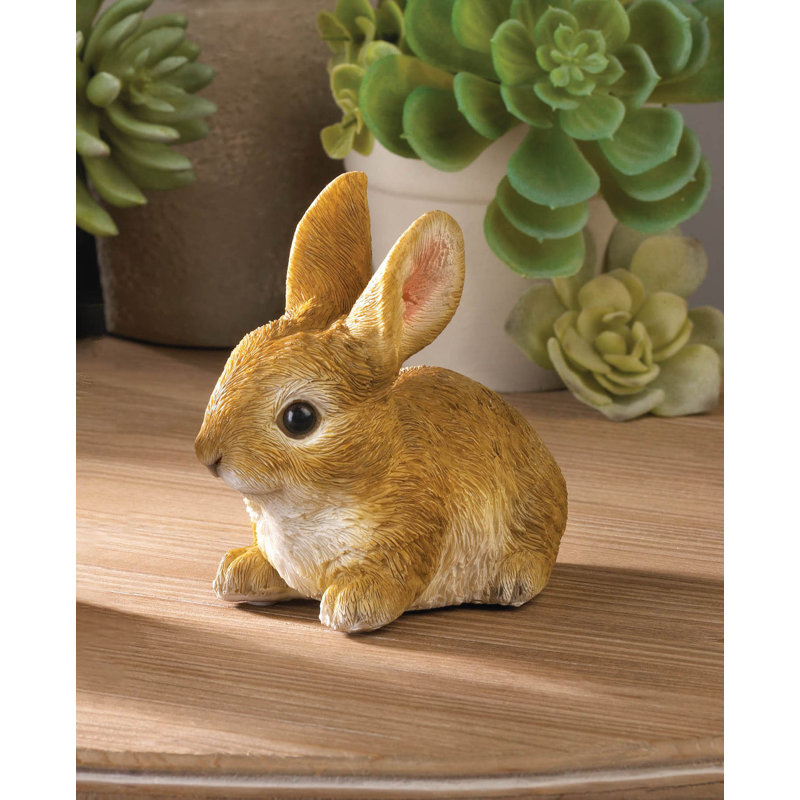 VIVID BUNNY