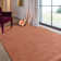 Aerilyn Solid Colour Hand Woven Area Rug