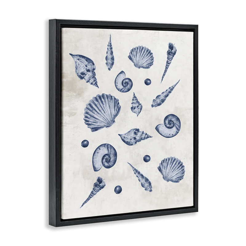 Varied Seashells Pattern Floating Frame, design by Jacob Q, Jet Black Floater Frame, 21" H x 17" W