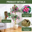 150cm Plant