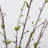 36" Artificial Gray Pussy Willow Bush