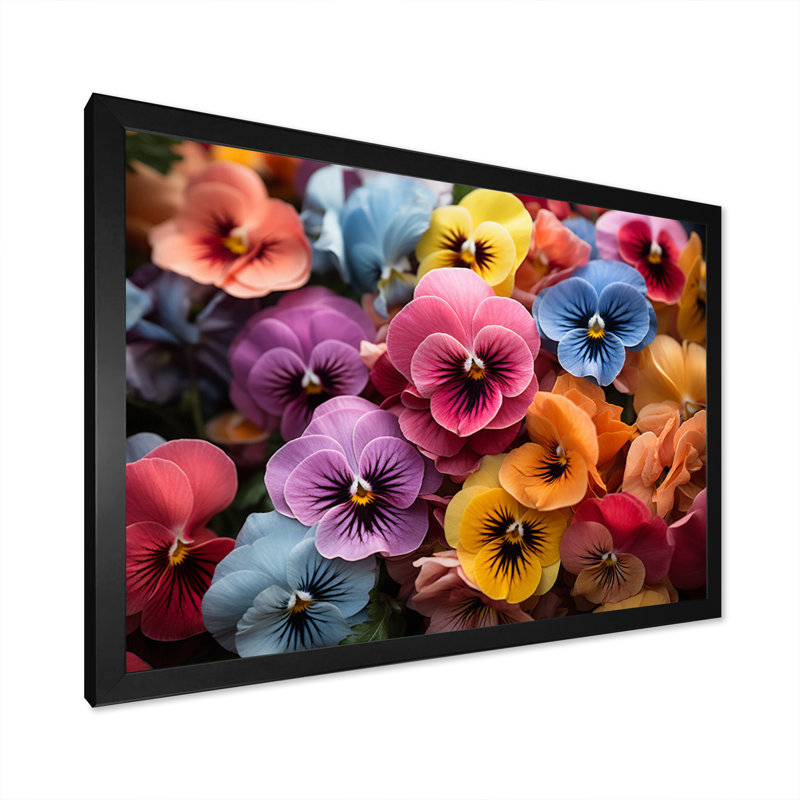 Colourful Pansies Field Vibrant - Floral Wall Art Prints, H 24 po x l 32 po x P 1 po, Cadre simple noir