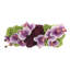 Orchid and Sedum Arranged in Fiberstone Planter-1944020320-1944020460