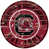 University of South Carolina