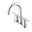 Parma 2-handle Bathroom Faucet with Drain Assembly-86174582