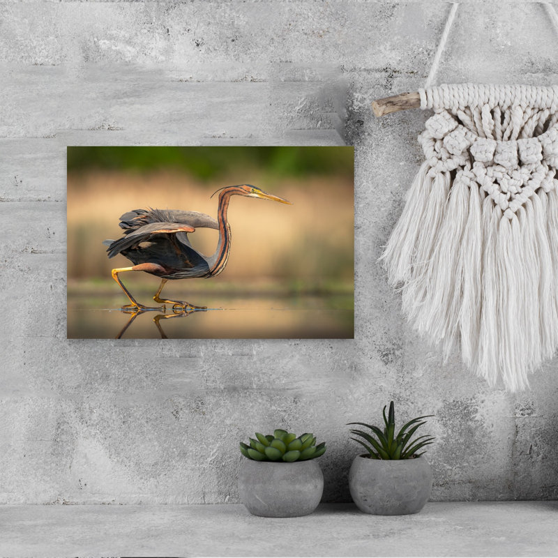 Purple Heron Stalking Contemporary Bird Wall Art Print 1 Piece Wrapped Canvas Wall Art, 30.48cm H x 45.72cm W