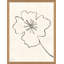 Line Drawing I Giclee Print by Susan Hable
