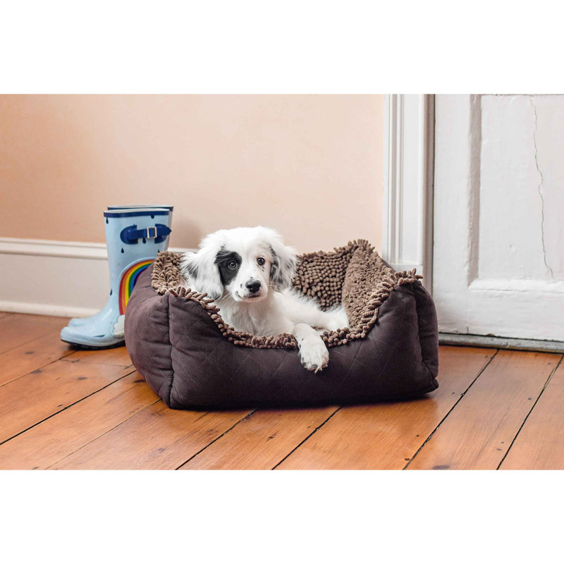 Lit pour animaux en polyester DGS Pet Products, L 27 po x P 31 po x H 9 po, Brun, Grand