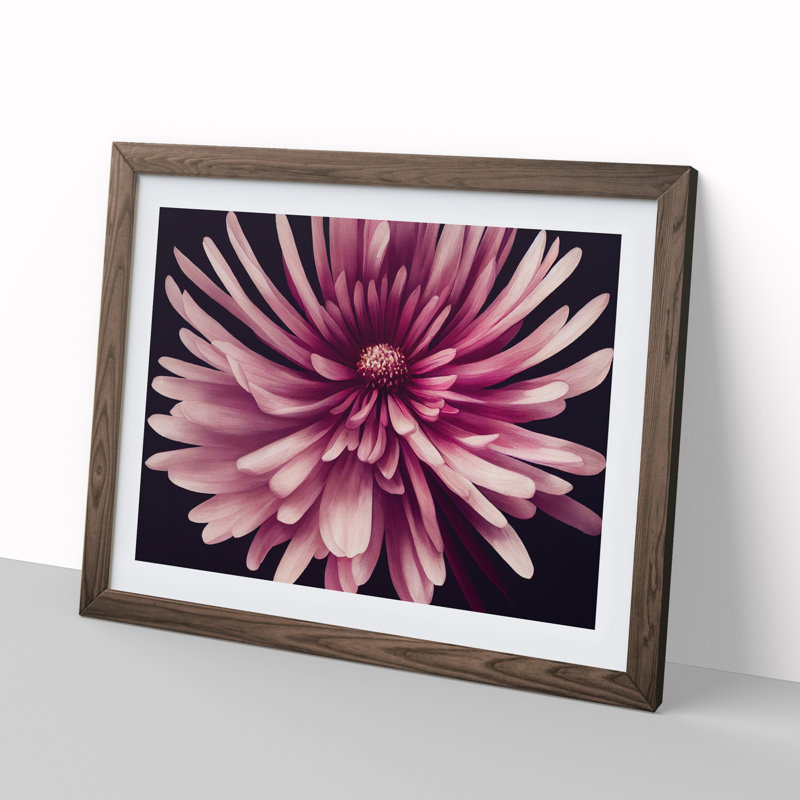 Irresistible Chrysanthemum Flower - Framed Print, 46cm H x 64cm W x 2cm D, Walnut