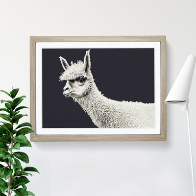 Portrait Of A Llama - Single Picture Frame Print