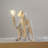Brylee Resin Novelty Lamp-2048870554