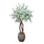 Eucalyptus argenté en pot de pierre