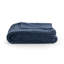Elms Velvet Crisp Blue King Quilt-1705032636
