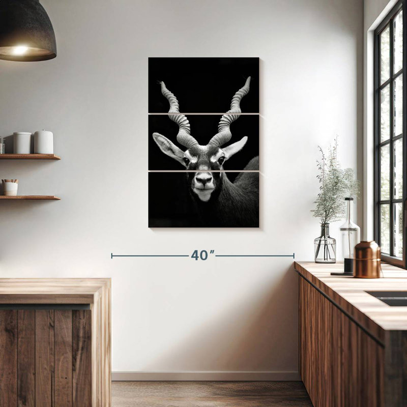 Brampt German Horned Antelope, 38" H x 24" W