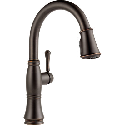 Cassidy™ Pull Down Sprayer Kitchen Sink Faucet, Single Handle Kitchen Faucet -  Delta, 9197-RB-DST