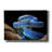 'Blue Viper Snake' by Epic Portfolio, Canvas Wall Art-1597362209