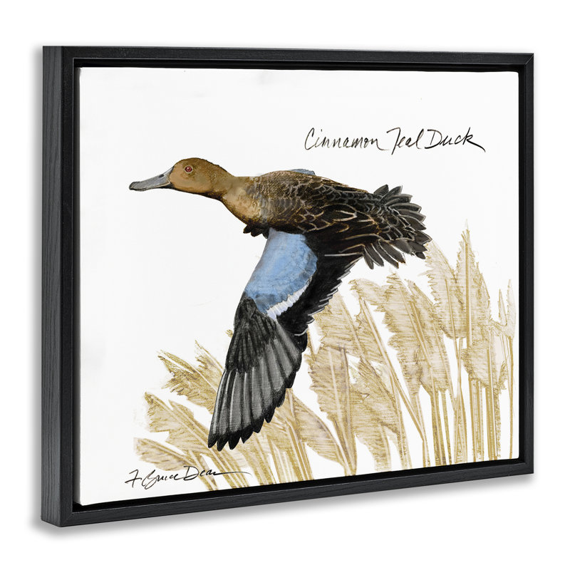 «Cannelle bleu sarcelle canard volant» par Jadei, H 25 po x l 31 po, Cadre flottant noir de jais