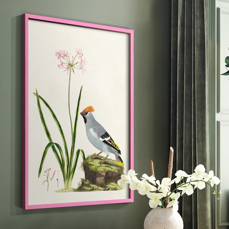 Bird in Habitat II, reproduction encadrée - bois massif, Rose, H 10 po x l 8 po