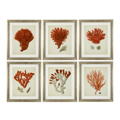 Antique Corals Print