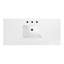 Reece 48 in. W Quartz Top Single Sink Bathroom Vanity
