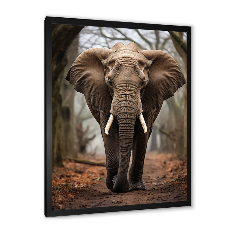 Portrait d'un éléphant Ouatchia - impression, Cadre photo noir, H 20 po x l 12 po x P 1 po