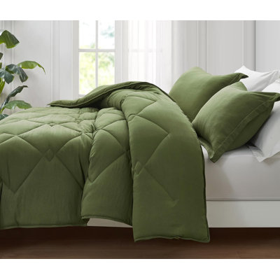 Logan Standard Comforter