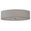 4 - Light Flush Mount