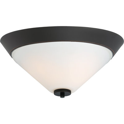 Plafonnier encastré 16,88 po à 2 lumières Naccarato