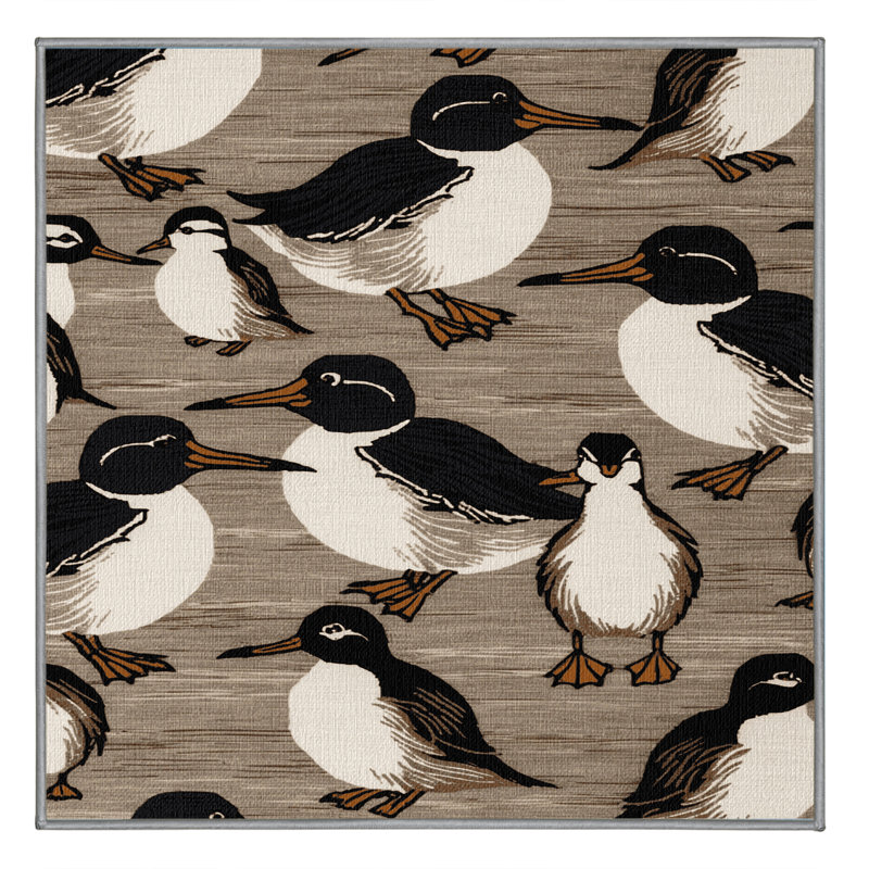  Tapis lavable oiseaux communs Murre, Carré 5 pi