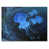 Wrapped Canvas