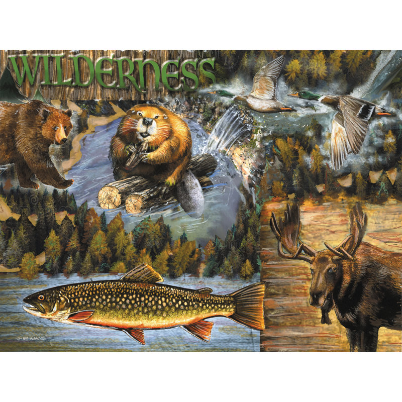 «Wilderness On Canvas» par Ed Wargo, reproduction, H 24 po x l 36 po x P 1,25 po