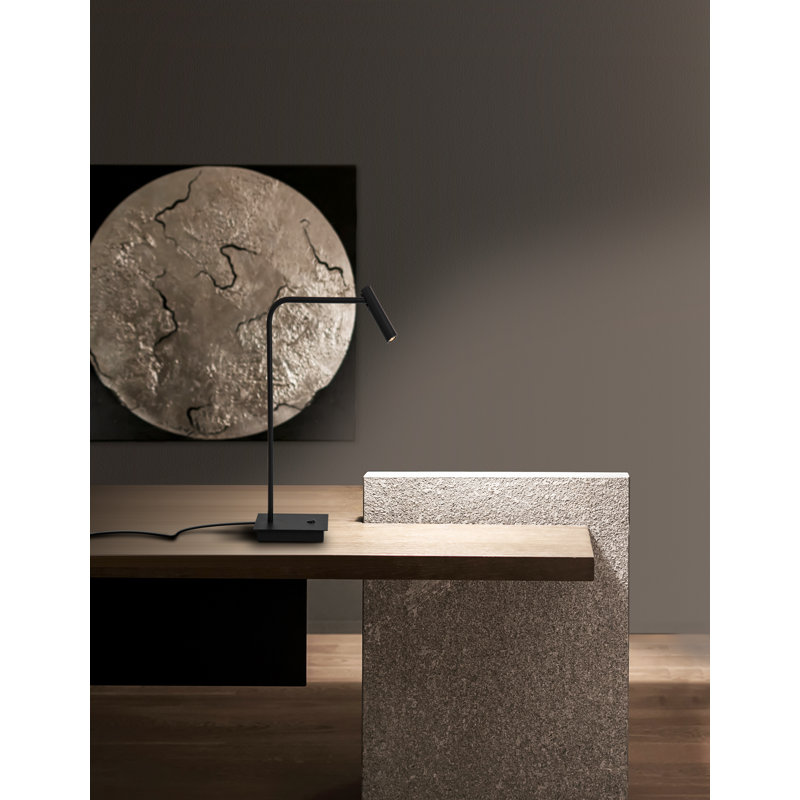 Metal Desk Lamp