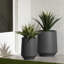 Dalya Cachepot-86901323