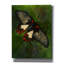 «Simplicity» par Barbara Keith - reproduction d'art sur toile tendue